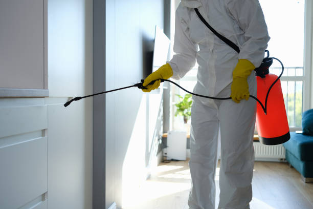 Best Commercial Mold Removal  in Chelsea Cove, NY